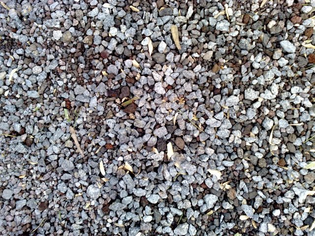stone ground CG Textures .c4d .max .obj .3ds .fbx .stl .blend 