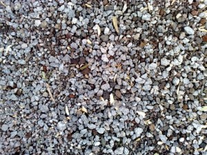 stone ground CG Textures