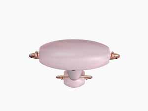 face roller pink Modèle 3D