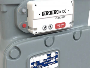 American Diaphragm Gas Meter AC250 3D Model