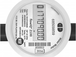 Kamstrup Smart Water Meter-flowIQ 2100 3D Модель