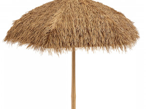 Bamboo shelter beach canopy 3D Model