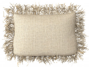 Rafia wiker decor pillow 01 Modelo 3D