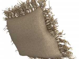 Rafia wiker decor pillow 01 Modelo 3D