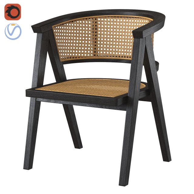 Rattan designer chair 2025