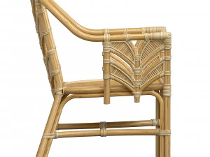 Tropicool Carver chair 3D Model
