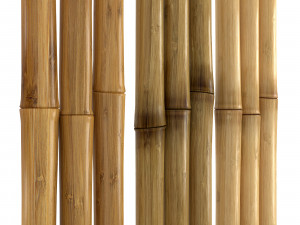 3 Realistic bamboo materials set 3D मॉडल