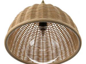 Luna wicker rattan ceiling lamp 3D Model