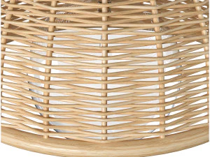 Luna wicker rattan ceiling lamp 3D Model