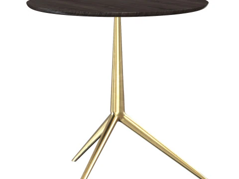 Cozy Antonio Citterio Small Table 3D Model