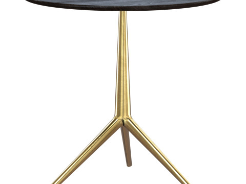 Cozy Antonio Citterio Small Table Modelo 3D