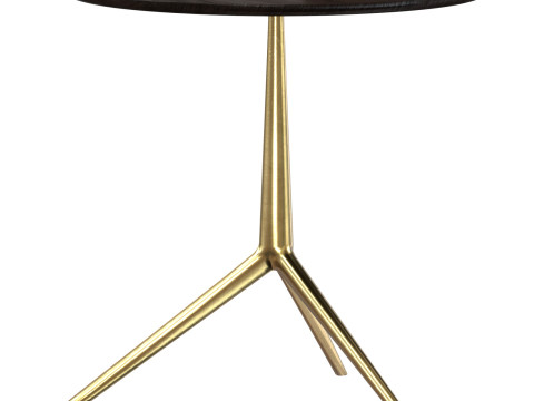 Cozy Antonio Citterio Small Table Modelo 3D