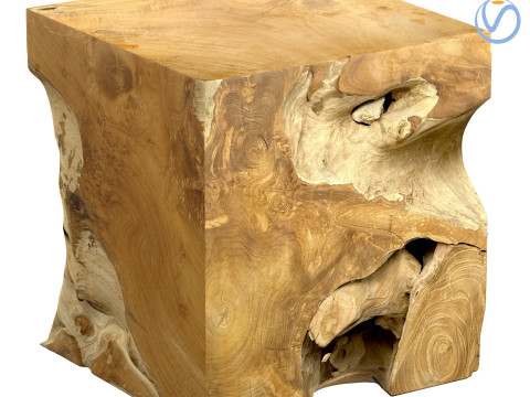 Accent Square Root Coffee Table Model 3D