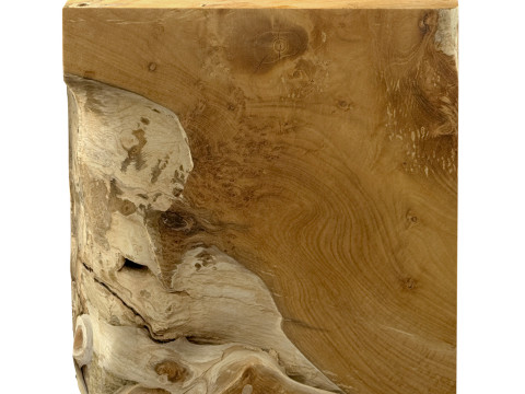 Accent Square Root Coffee Table 3D-Modell