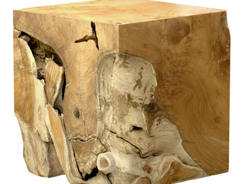 Accent Square Root Coffee Table 3D-Modell