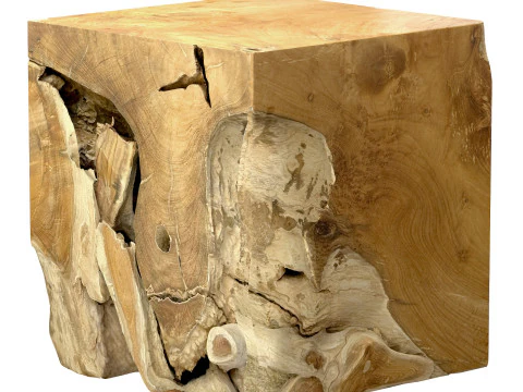 Accent Square Root Coffee Table 3D Model