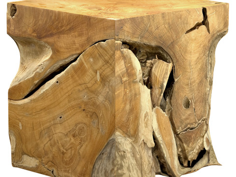 Accent Square Root Coffee Table 3D-Modell