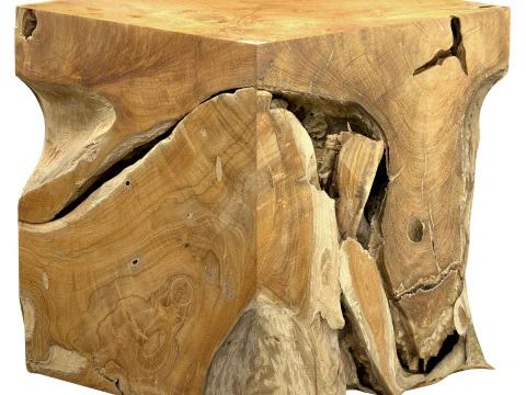 Accent Square Root Coffee Table 3D Model