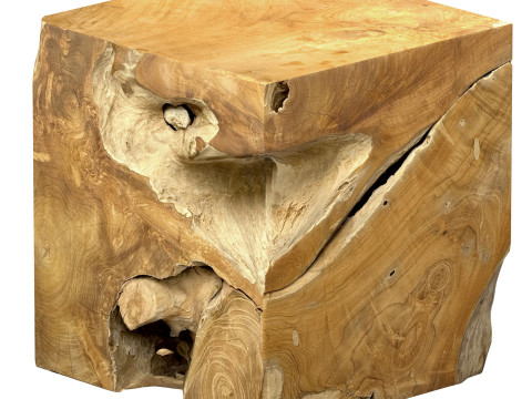 Accent Square Root Coffee Table 3D-Modell