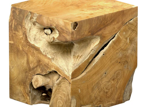Accent Square Root Coffee Table 3D Model