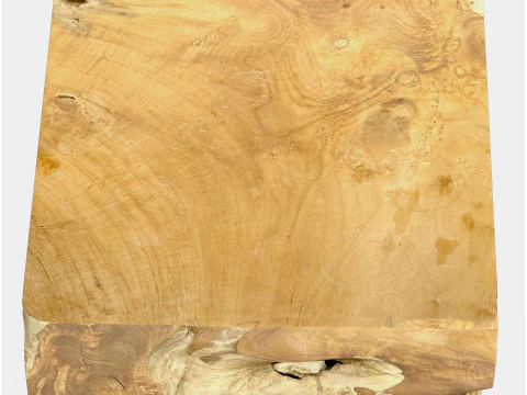 Accent Square Root Coffee Table 3D Model