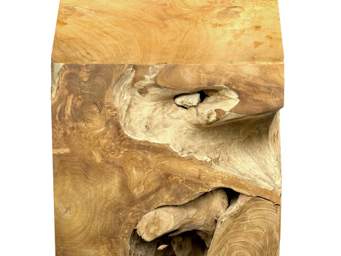 Accent Square Root Coffee Table 3D-Modell
