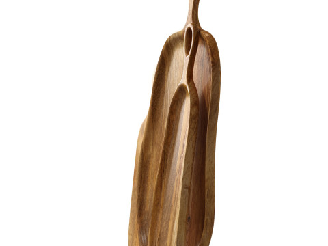 Mango wood cutting board for kitchen 3D Model