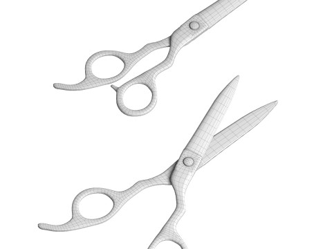 Kasho Metal Scissors for a hairstyle 3D Модель