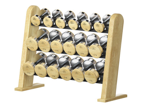NOHrD DumbBells WeightBench Weight Rack 3D Model