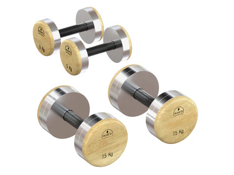NOHrD DumbBells Weight 3D Model