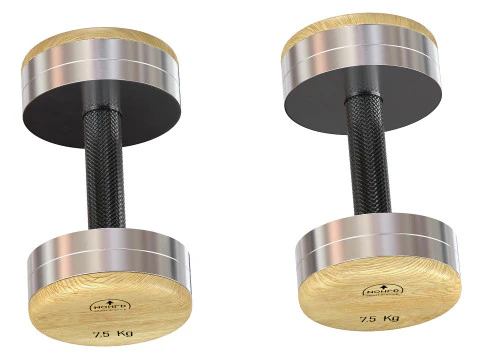 NOHrD DumbBells Weight 3D Model