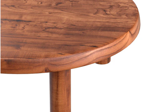 Pierre Chapo Coffee Table T02 M French Oak 1965 3D Model