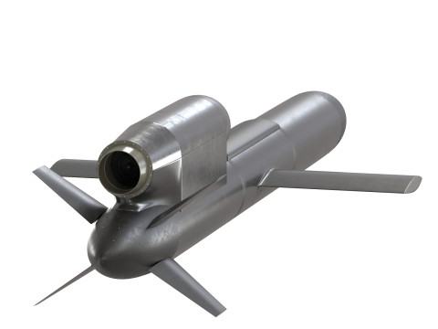 FP-5 Flamingo Ukrainian ground-launched cruise missile 3D Modell