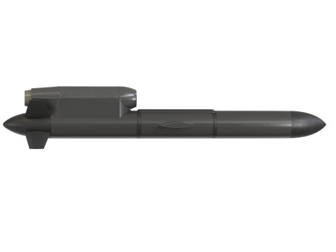 FP-5 Flamingo Ukrainian ground-launched cruise missile 3D Model