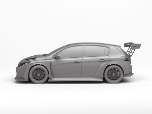 Peugeot 308 TCR 3Dプリントモデル