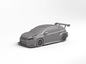 Peugeot 308 TCR 3Dプリントモデル