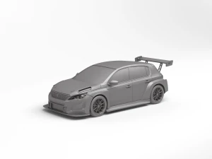 Peugeot 308 TCR 3D Print Model