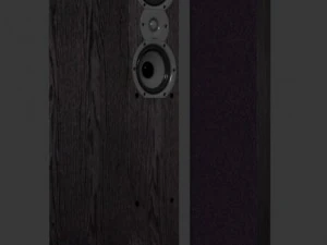 полькаудио ци300 3D Модель