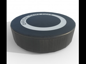 hockey puck low poly pbr textures 3 types Model 3D