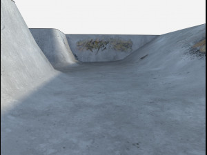 skate park pool Model 3D