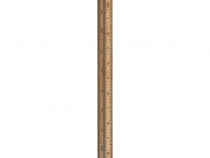 wooden ruler 6 real scale 3D Model