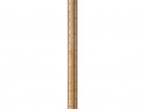 wooden ruler 6 real scale 3D Model