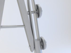 circinus Modello 3D