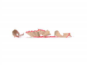 hd pencil chips shavings Modelo 3D