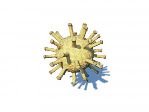 coronavirus covid-19 animation Modèle 3D