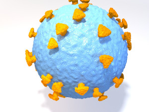 coronavirus medical model Modèle 3D