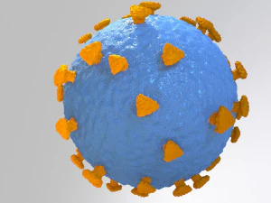 coronavirus medical model 3D Model