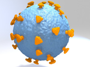 coronavirus medical model Modèle 3D