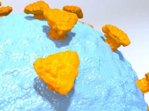 coronavirus medical model 3D Model
