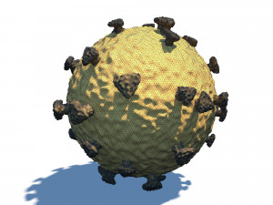 coronavirus medical model Modèle 3D
